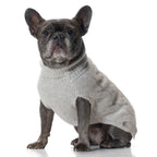 Luxurious 100% Cashmere Cable-Knit Dog Sweater - Grey
